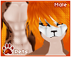 [Pets] Saber | fur v1