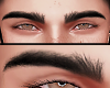 HD Eyebrows (MH)