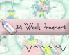 34 Weeks Pregnant (P)