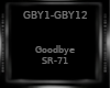 Goodbye -SR-71