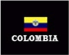 short and top colombia