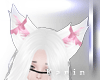 Cat Ears White