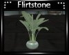 Infinity Plant