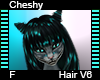 Cheshy Hair V6 F