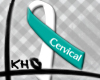 [KH] Cervical Cancer
