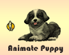 Animated Puppy
