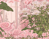 Pink Spring Photo Room