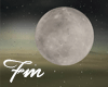 Full Moon Anim |FM190