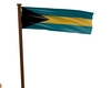 Waving Bahama Flag