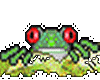 Animated tree frog