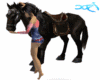 Sexy Black Horse