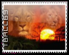 Lion Long Stamp