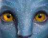 Avatar Eyes Unisex