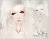 K• Plat Beni