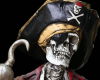 Skeleton Pirate Picture
