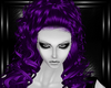 purple zed hairs