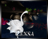 Cns.:Animated Swan:.