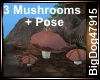 [BD] 3 Mushrooms+Pose