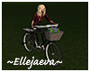 Animated Bicycle Ride