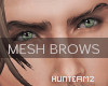 HMZ: Victor MH Brows #1