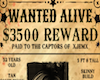 {K} Wanted Poster