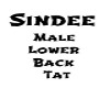 [M]Sindee Lower Back Tat