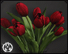 ▸Red Tulips