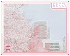 .:E:. Yelfe