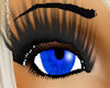 Female eye drk blue