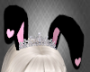 k. bunny ears