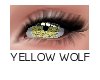 Bun! Yellow Wolf m/f