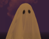 Ghost Costume F