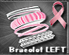 L Breast Cancer Fight