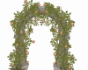 Roses Flowers Arch