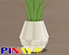 Pineapple Planter - S