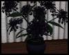 Funky Purple Plant M2