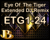 Eye Of The Tiger DJ RMX