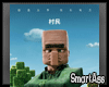 -SA- Minecraft Villager