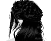 W ~ Black Royal Hair