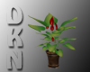 DKN - RUSTIC PLANT