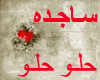 [7p] sajda-7lo-7lo