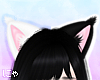 N' Tao Cat Ears