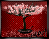 .:Sw:. Romance Tree