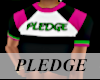 EB Pledge Top