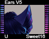 Sweet16 Ears V5