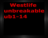 unbreakable ub1-14
