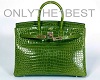 CrocSkin *Birkin*