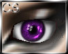 CS- Purple Auroa Eyes