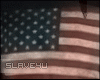 [S]America Flag