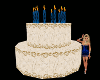 NO POSE Large Party Cake